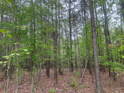 Hunting Property for Sale W/ RoW W/ Creek in Hempstead Co.! - image 9