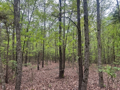 Hunting Property for Sale W/ RoW W/ Creek in Hempstead Co.! - image 8