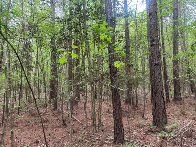 Hardwood Hunting Land W/ Creek for Sale near Nashville, AR - image 16