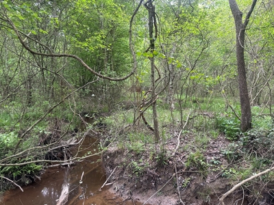 Hardwood Hunting Land W/ Creek for Sale near Nashville, AR - image 12