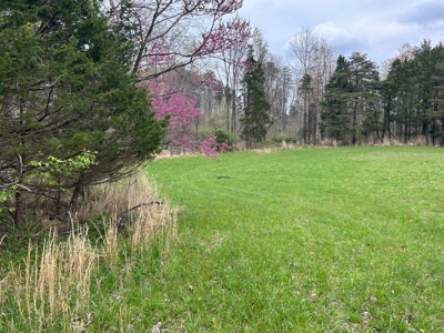 Accepted Offer in Tompkinsville, Kentucky - image 4