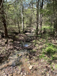 26 Acre Land For Sale in Prairie Grove AR - image 28