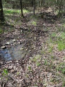 26 Acre Land For Sale in Prairie Grove AR - image 29