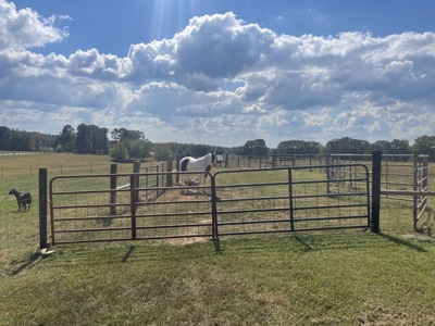 Country Home For Sale In Pulaksi Tn Near Nashville Tn - image 15
