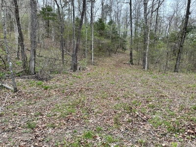 Hunting Land For Sale In Arkansas - image 7