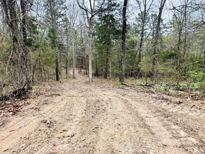 Hunting Land For Sale In Arkansas - image 9