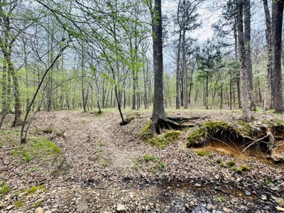 Hunting Land For Sale In Arkansas - image 6