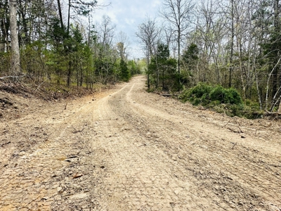 Hunting Land For Sale In Arkansas - image 10