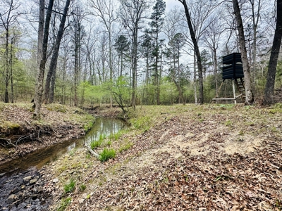 Hunting Land For Sale In Arkansas - image 5