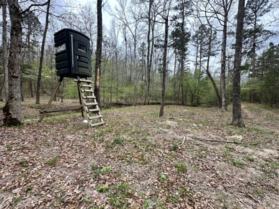 Hunting Land For Sale In Arkansas - image 8