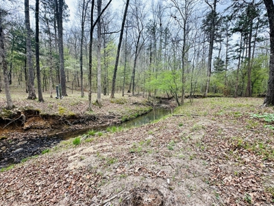 Hunting Land For Sale In Arkansas - image 2
