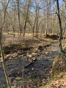 Hunting Land For Sale In Arkansas - image 11