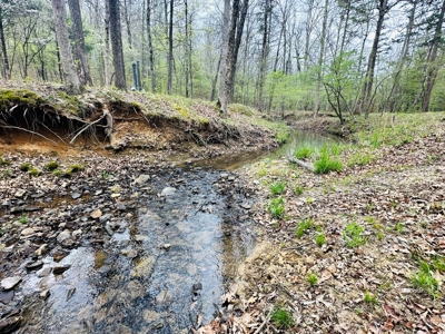 Hunting Land For Sale In Arkansas - image 4