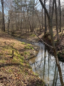 Hunting Land For Sale In Arkansas - image 1