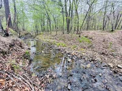 Hunting Land For Sale In Arkansas - image 3