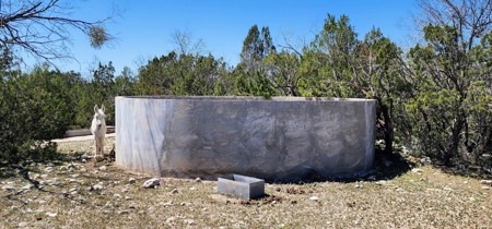 Central West Texas land for sale near Mertzon and San Angelo - image 3