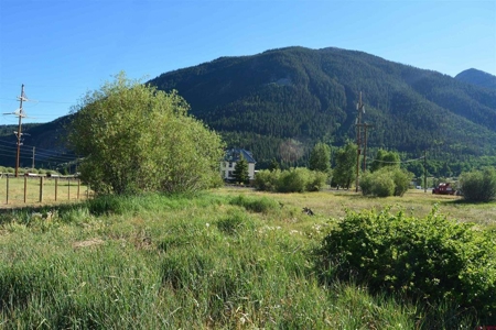 Opportunity Zone Investment Property For Sale in Silverton, - image 3