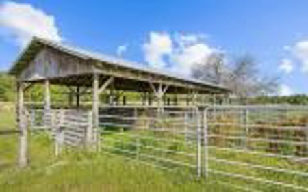 60 Acre Farm For Sale In Mcalpin Fl!! - image 25