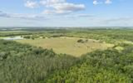 60 Acre Farm For Sale In Mcalpin Fl!! - image 43