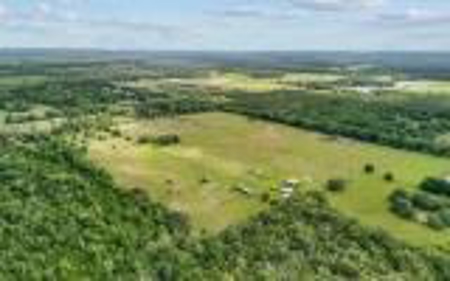60 Acre Farm For Sale In Mcalpin Fl!! - image 35