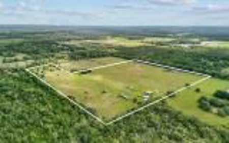 60 Acre Farm For Sale In Mcalpin Fl!! - image 1
