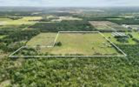 60 Acre Farm For Sale In Mcalpin Fl!! - image 38