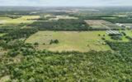 60 Acre Farm For Sale In Mcalpin Fl!! - image 39