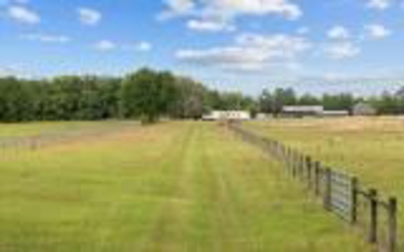 60 Acre Farm For Sale In Mcalpin Fl!! - image 45