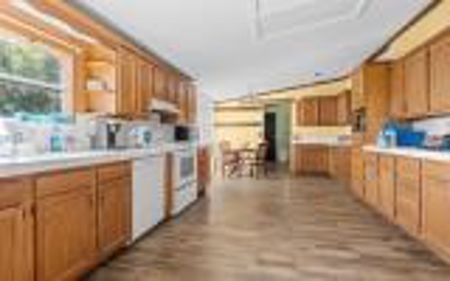 60 Acre Farm For Sale In Mcalpin Fl!! - image 9