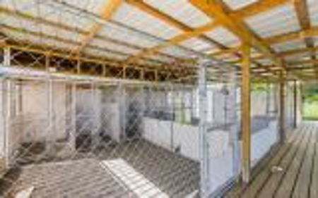 60 Acre Farm For Sale In Mcalpin Fl!! - image 24