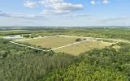 60 Acre Farm For Sale In Mcalpin Fl!! - image 42
