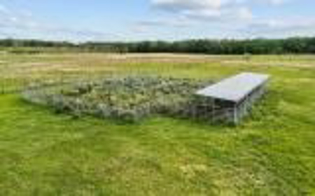 60 Acre Farm For Sale In Mcalpin Fl!! - image 5