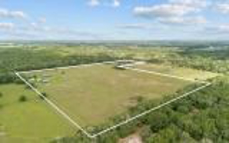 60 Acre Farm For Sale In Mcalpin Fl!! - image 47