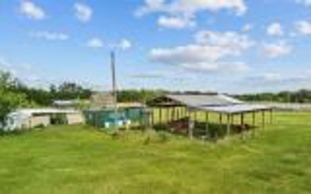 60 Acre Farm For Sale In Mcalpin Fl!! - image 30