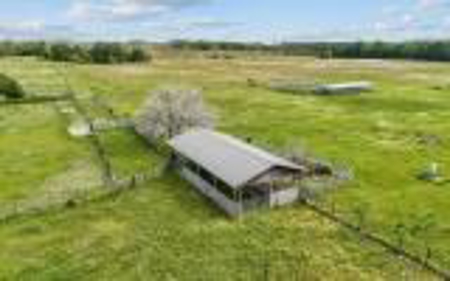 60 Acre Farm For Sale In Mcalpin Fl!! - image 33