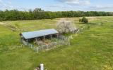 60 Acre Farm For Sale In Mcalpin Fl!! - image 3