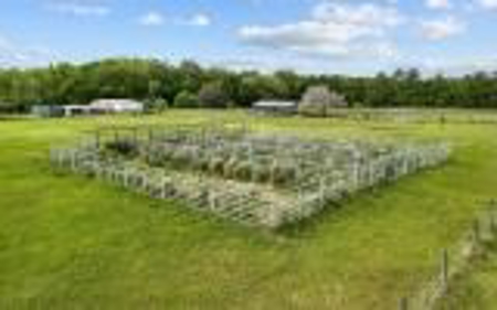 60 Acre Farm For Sale In Mcalpin Fl!! - image 34