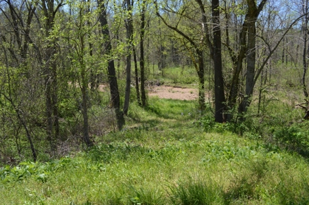 Country Home for Sale in Perry County, Tennessee - image 23