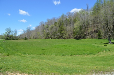 Country Home for Sale in Perry County, Tennessee - image 22