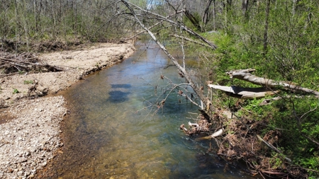 Country Home for Sale in Perry County, Tennessee - image 25