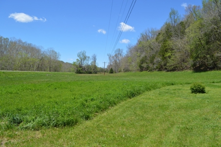 Country Home for Sale in Perry County, Tennessee - image 20