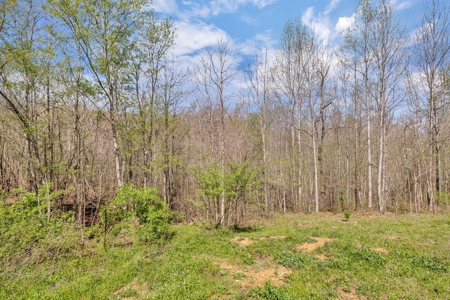 Country Home for Sale in Lewis County, Tennessee - image 45