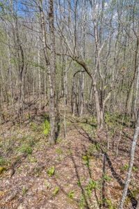 Country Home for Sale in Lewis County, Tennessee - image 47