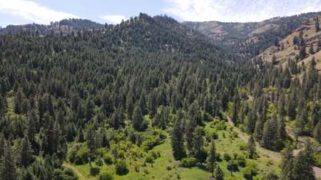 Land for Sale in White Bird, Idaho - image 2