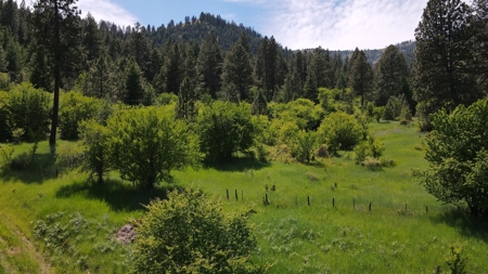 Land for Sale in White Bird, Idaho - image 15