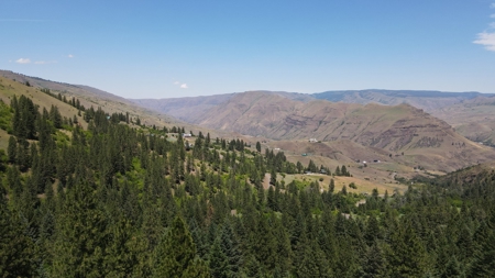Land for Sale in White Bird, Idaho - image 5