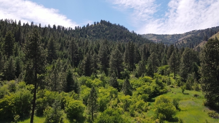 Land for Sale in White Bird, Idaho - image 12