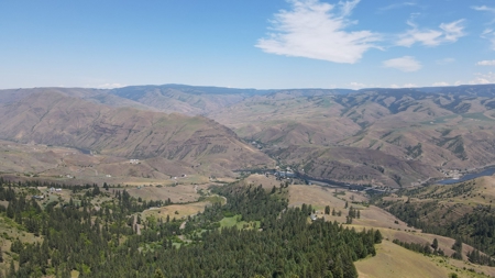 Land for Sale in White Bird, Idaho - image 8