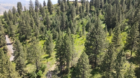 Land for Sale in White Bird, Idaho - image 10