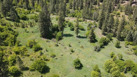 Land for Sale in White Bird, Idaho - image 11